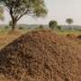 Termite Mounds Impact On Farming and Agriculture