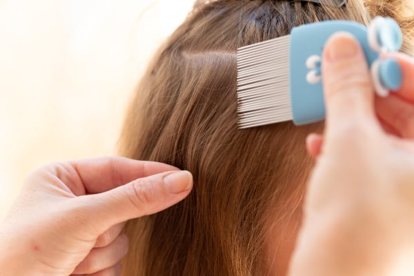Head lice comb
